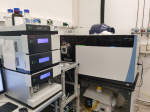 nLC-MS/MS (protein mass spectrometer, Thermo Orbitrap Fusion)